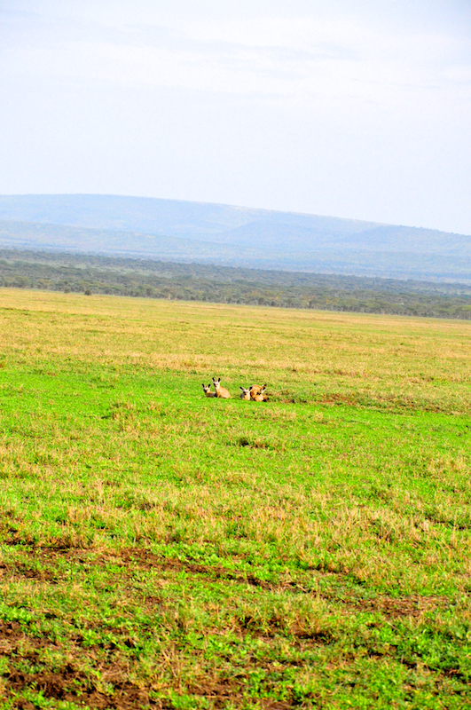 Melanie Heinrich Travel Images Africa